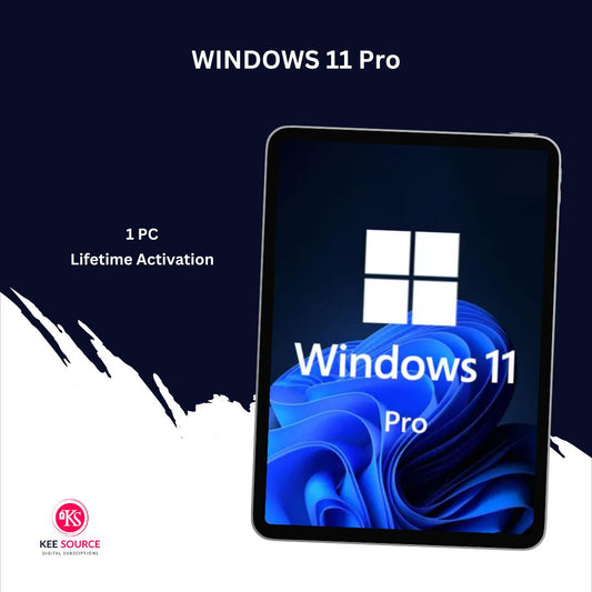 Windows 11 Pro